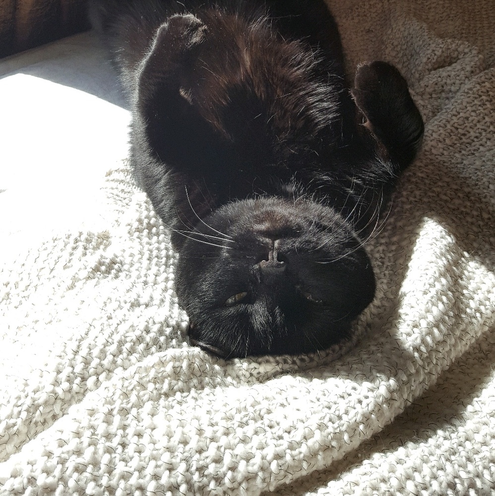 Meet your Posher, Sarah